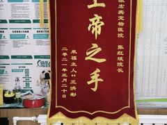 -瑞派宠物医院·中兽医专科(中央商城分院)