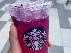 -星巴克(真如星光耀广场店)