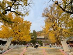 -潭柘寺景区