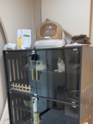 -花系美·美甲美睫精品店