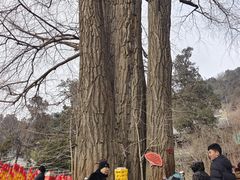 景点-潭柘寺景区