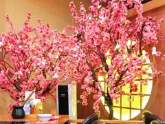 -牛New寿喜烧(青浦店)
