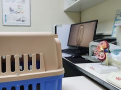 -谐和益家动物医院·免疫绝育·血液透析·宠保定点医院(高新伊藤分院)