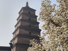 -大慈恩寺(大雁塔)