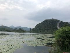 -王万妈卤猪脚(青岩交通路)