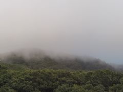 -内乡宝天曼生态旅游区