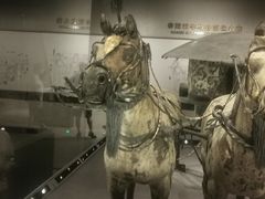 -秦始皇帝陵博物院-丽山园