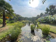 -中国科学院西双版纳热带植物园