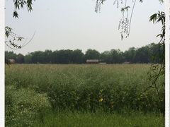 -长兴太湖图影湿地文化园