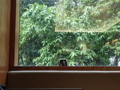 -LOTTA COFFEE(安居博文苑店)