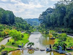 -东莞植物园