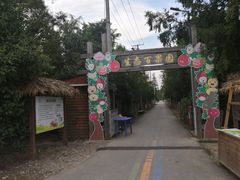 -上海长兴岛郊野公园