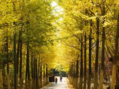 -大蜀山国家森林公园