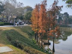 -顺峰山公园