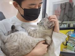 -瑞派·爱瑞可动物医院·口腔专科(广华新城分院)