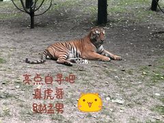 -北京野生动物园