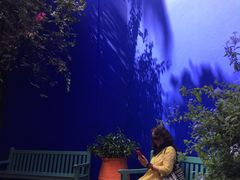 -马洛雷勒花园