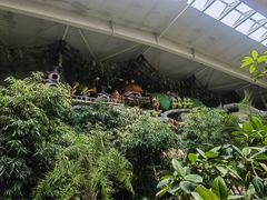 -南宫五洲植物乐园