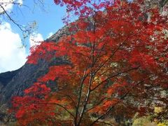 -叠溪松坪沟景区