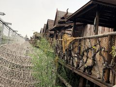 -呀路古热带植物园