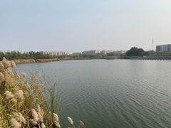-华北理工大学(曹妃甸校区)