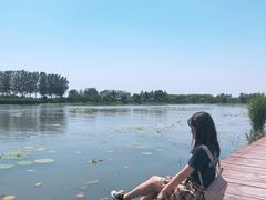 -白洋淀景区