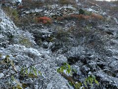 -太平万花山景区