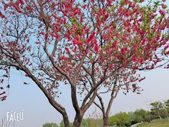 -石家庄市植物园