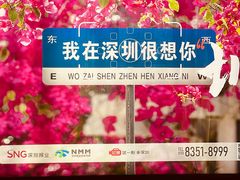 -大梅沙海滨公园