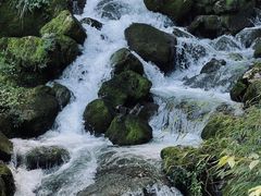 -鹿院坪生态旅游景区