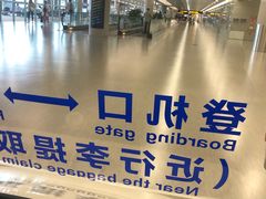 -上海浦东国际机场-T2航站楼