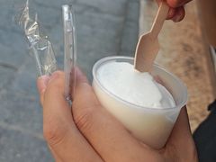 -洪馨椰子