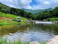 -广州市石门国家森林公园