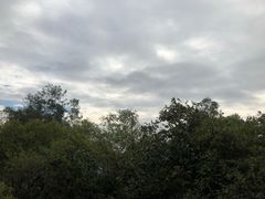 -火炉山森林公园