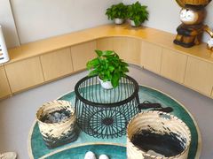 -飞行喵MR PILOT|猫舍·猫咖(静安大融城店)