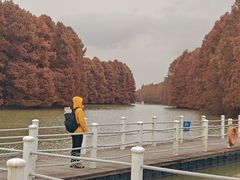 -上海海湾国家森林公园