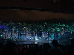 -三亚红色娘子军演艺公园景区
