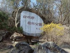 -白水寺森林公园