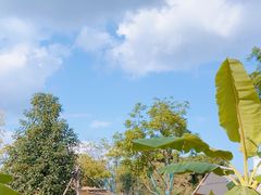 -悦见花开·花园里的火锅·露营·下午茶