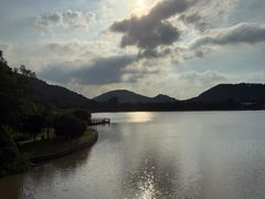 -艾米稻香小镇