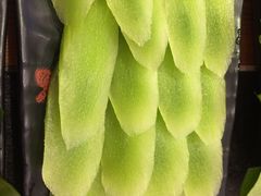 -重庆烧鸡公火锅(簋街店)