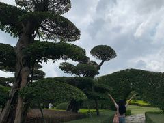 -南宁南湖公园