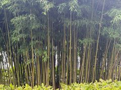 -清晏园