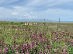 -青海湖国家重点风景名胜区
