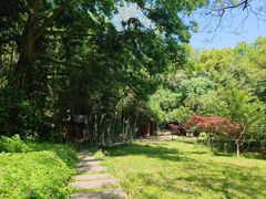 -镇江市南山风景名胜区竹林景区