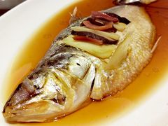秘方蒸鲥鱼-绍兴饭店(大宁店)