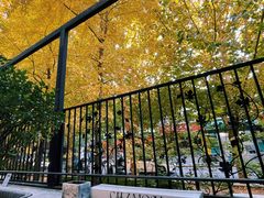 -老梦面包CHEZMOREL(麦子店)