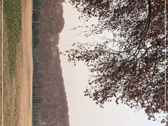 -河南省黄河迎宾馆