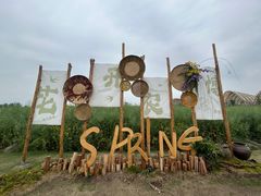 -中国天府农业博览园