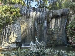 -西双版纳原始森林公园